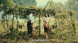 賽琳娜的黃金 圖6