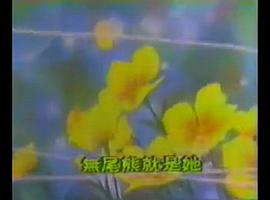 喬琪姑娘 圖8