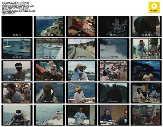 老人與海免費(fèi)觀看全集策