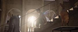 另一種藍(lán)什么時候上映 圖3