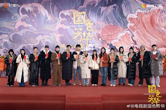 楊紫6部未播的劇