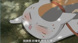 夏目友人帳貓咪老師頭像 圖4