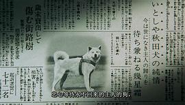 日本忠犬八公中文版 图8