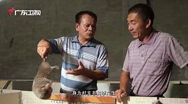 广东卫视美食纪录片 图4
