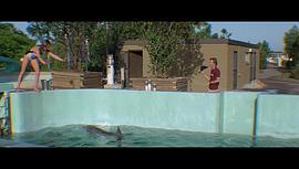 大白鲨3电影免费观看高清 图1