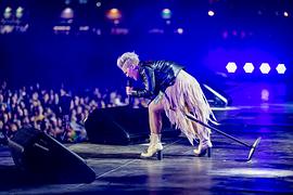 P!NK：我所知道的一切 圖7