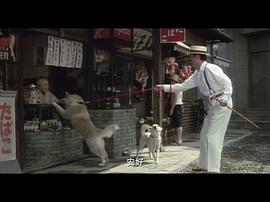 日本忠犬八公中文版 图2