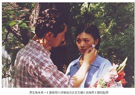 情迷海上花電視劇全集免費(fèi)播放 圖8