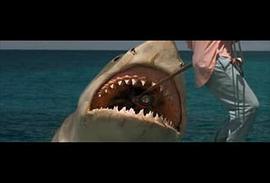 大白鲨4之深海杀手免费观看 图8