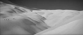 喜馬拉雅山雪怪 圖10