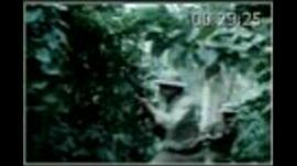 突擊隊(duì) 圖10