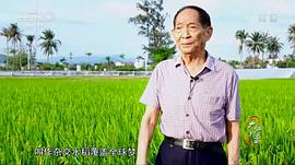 大國根基 圖4