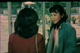 芳草心 圖1