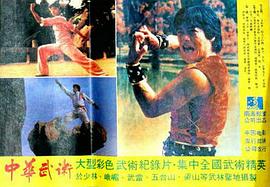 中華武術(shù) 圖1