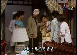 梧桐夜雨 圖4