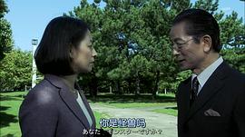 相棒第13季免费观看 图4