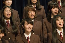 櫻花綻放 圖1