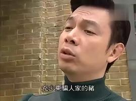 王祖蓝电视剧 图3