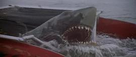 大白鲨电影国语版免费 图1