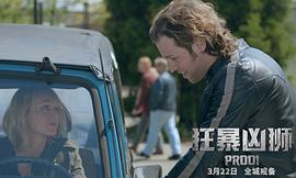 狂暴兇獅 圖10