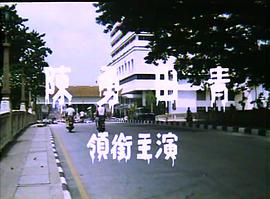 半暹降 圖6