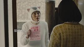 今日的猫村小姐 图2
