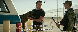 忠犬 圖9