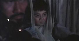 僵尸怕怕 圖4