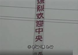 1996年中央電視臺春節(jié)聯(lián)歡晚會 圖6