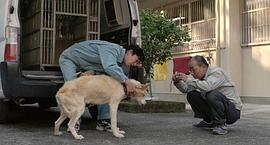 日本关于流浪狗的电影 图4