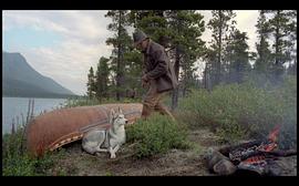 加拿大最后的猎人电影 图10