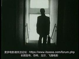 豬 圖3