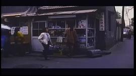北京雜種 圖8