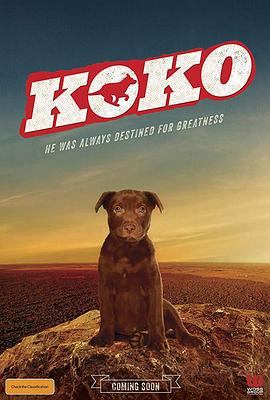 Koko:红犬历险记 图1