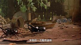 蟲子：熱帶雨林冒險(xiǎn) 圖2
